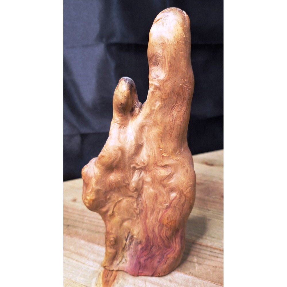 Natural polished Cypress Knee Wood Sculpture Smooth Organic curves Purple grain